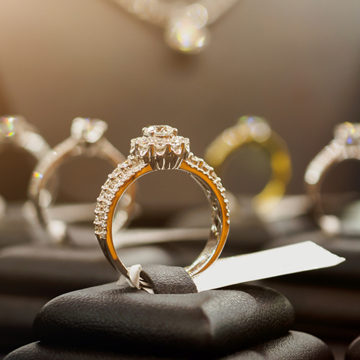 Jewellery & High-Value Item Management